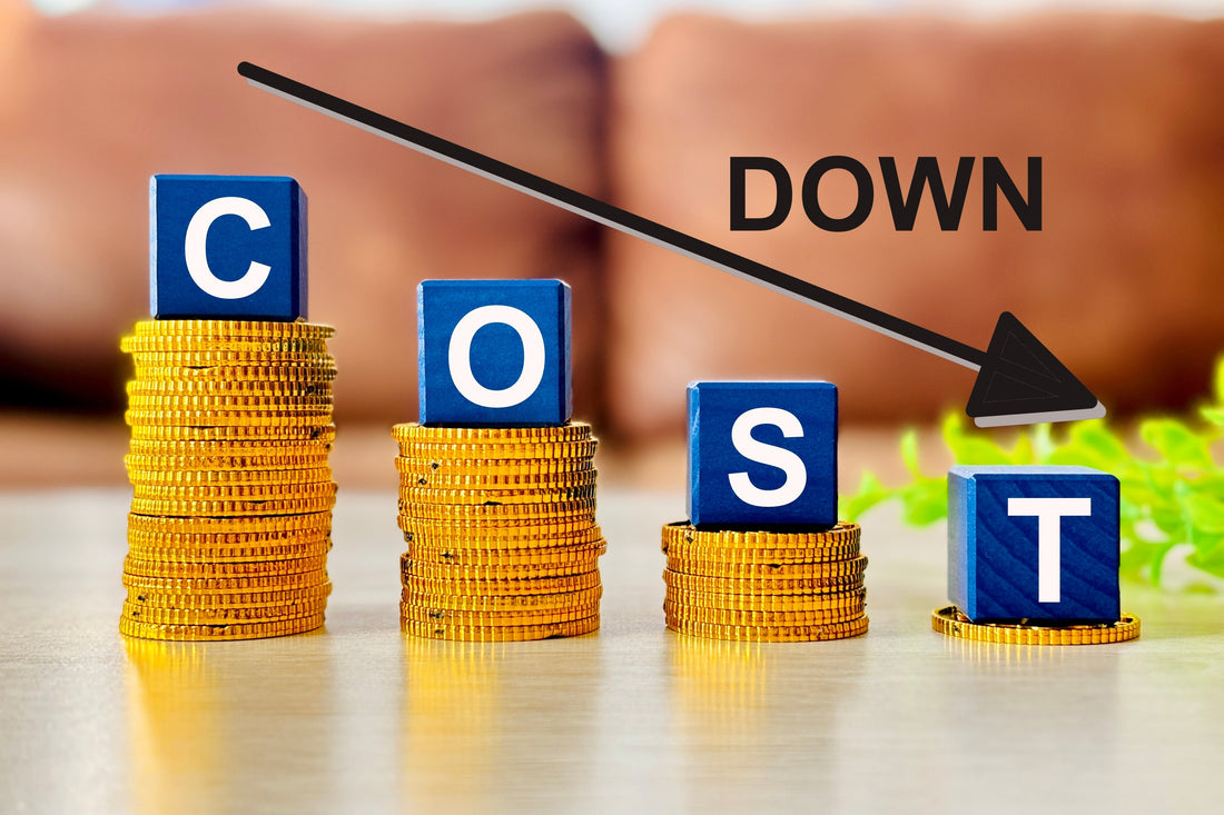 Reduce AI Inference Costs by 70% for Scalable, Sustainable AI Solutions